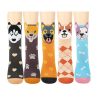 O1CN01U6yKbG1iQutSifUkK_2668854408-0-cib-1.jpg Custom Women's 3D Ear Owl Cartoon Animal Socks Fall/Winter Extra-Long Cotton Socks